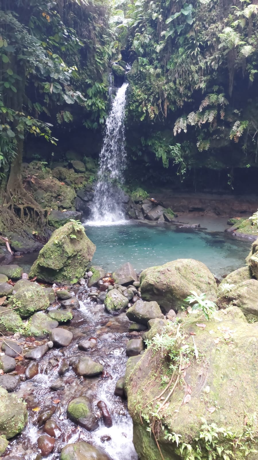 Dominica harbour view